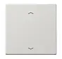EnOcean draadloze wandzender 2-kanaals met pijlsymbolen LS990 lichtgrijs (ENO LS 990 P LG)