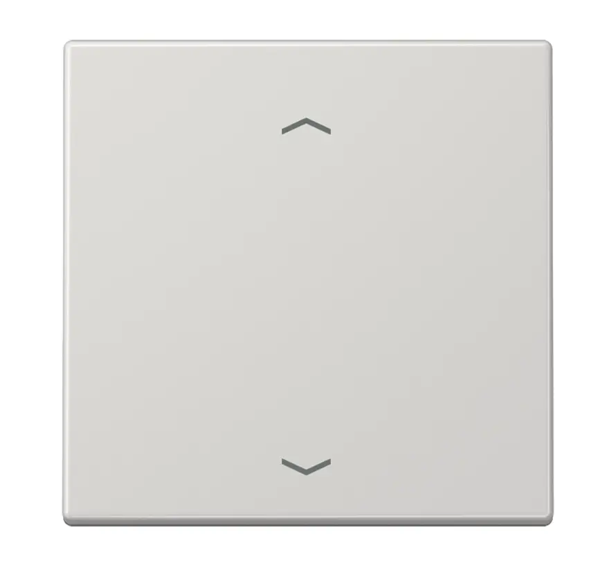 EnOcean draadloze wandzender 2-kanaals met pijlsymbolen LS990 lichtgrijs (ENO LS 990 P LG)