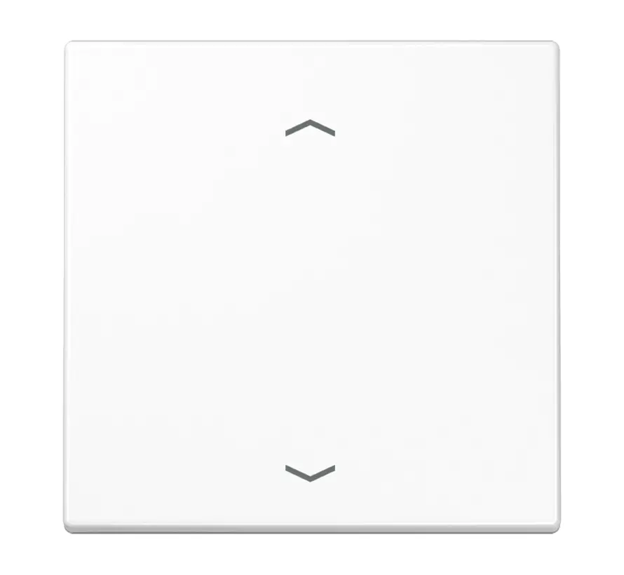 EnOcean draadloze wandzender 2-kanaals met pijlsymbolen LS990 alpine wit (ENO LS 990 P WW)