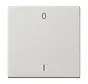 EnOcean draadloze wandzender 2-kanaals met symbolen 0-1 LS990 lichtgrijs (ENO LS 990-01 LG)