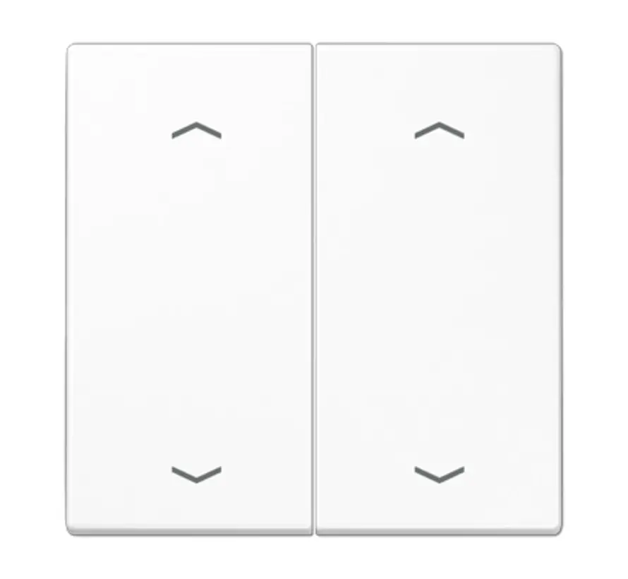 schakelwip 2-voudig met pijlsymbolen LS990 alpine wit (LS 995 MP WW)