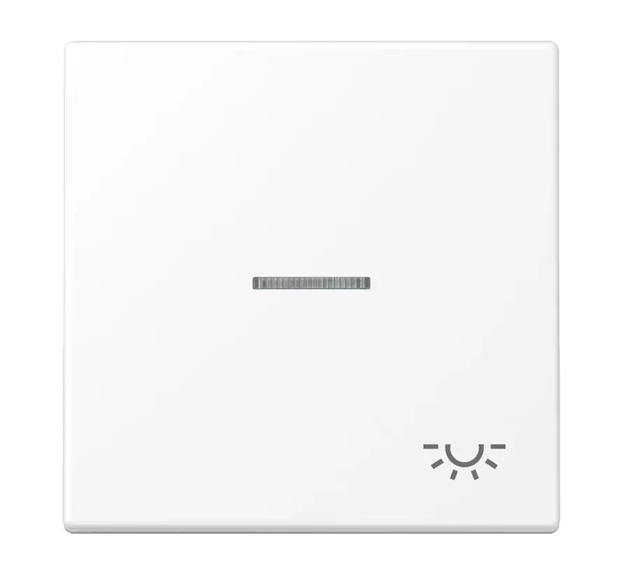 schakelwip met lichtsymbool en controlevenster LS990 sneeuwwit mat (LS 990 KO5 L WWM)