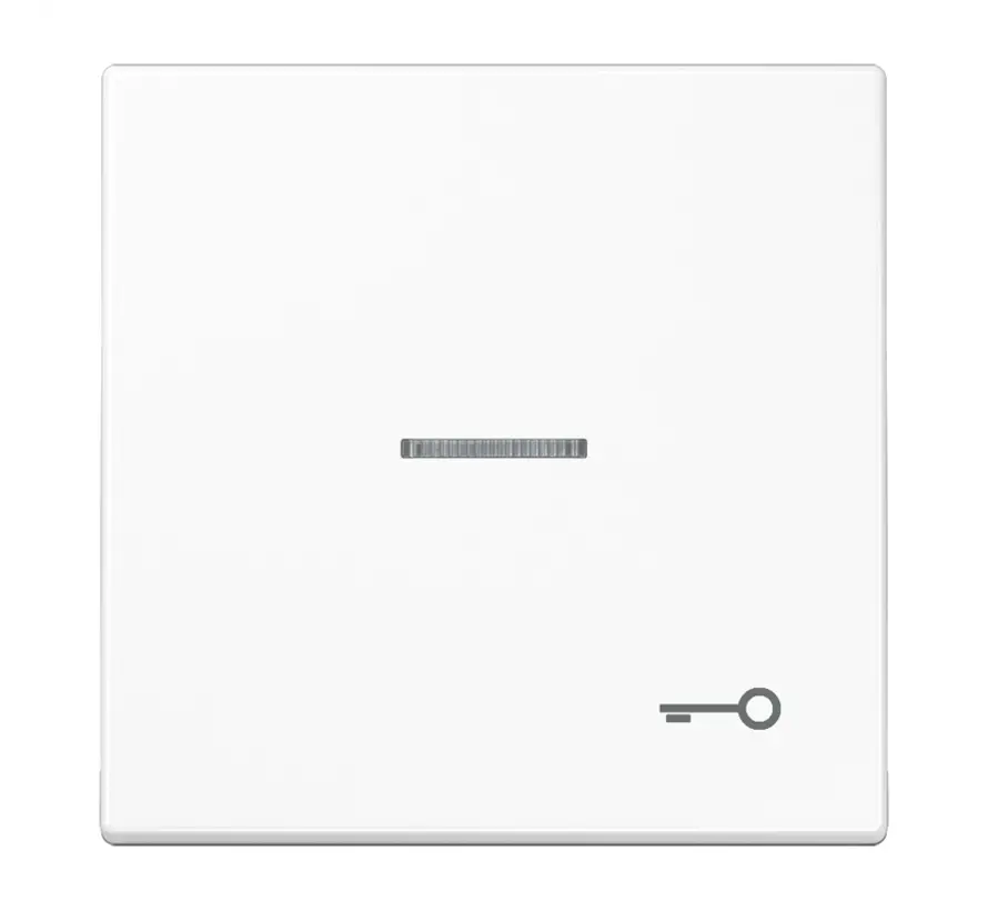 schakelwip met sleutelsymbool en controlevenster LS990 alpine wit (LS 990 KO5 T WW)