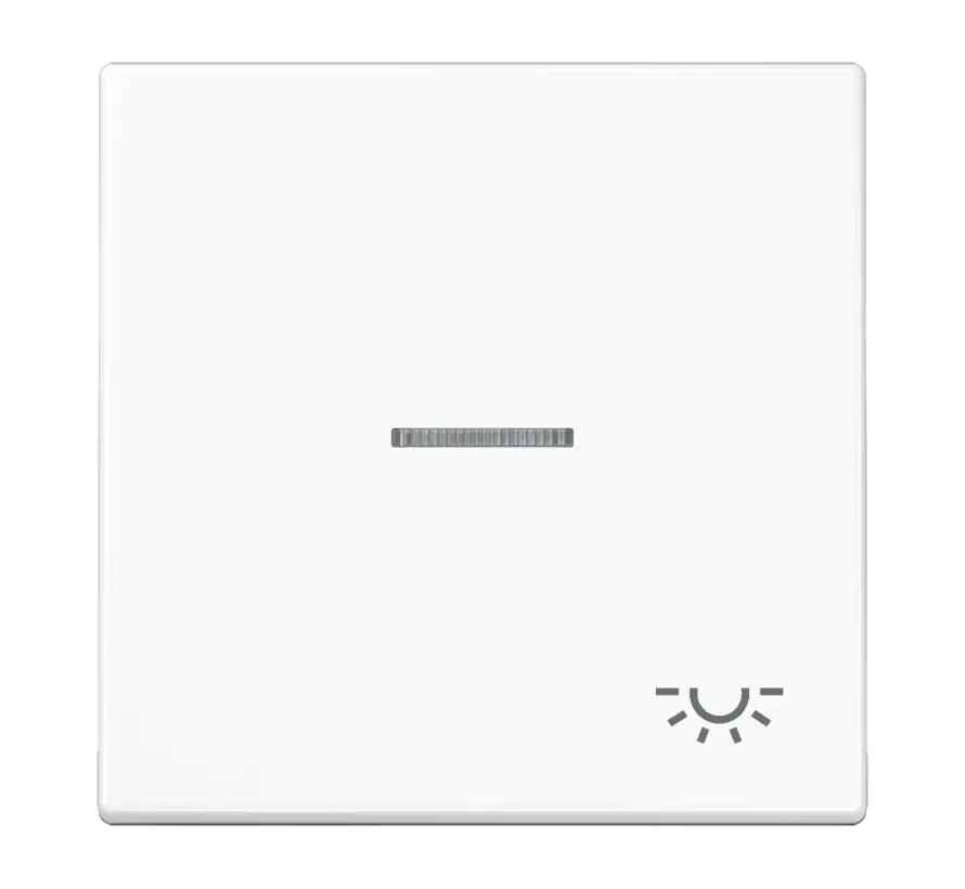 schakelwip met lichtsymbool en controlevenster LS990 alpine wit (LS 990 KO5 L WW)