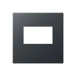 JUNG centraalplaat USB-lader met klikbevestiging A-range antraciet mat (A 1569 USB ANM)