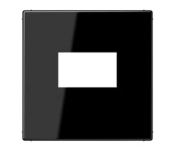 JUNG centraalplaat USB-lader met klikbevestiging LS990 zwart glans (LS 1969 USB SW)