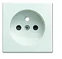 centraalplaat voor wandcontactdoos met penaarde Balance SI (2399 UCB-914-500)