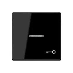 JUNG schakelwip met sleutelsymbool en controlevenster A-range zwart glans (A 590 KO5 T SW)