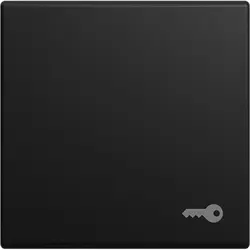 Busch-Jaeger schakelwip symbool sleutel Balance SI zwart mat (2520 TR-915)