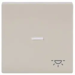 Busch-Jaeger schakelwip controlevenster licht symbool Future Linear creme (1789 LI-82)