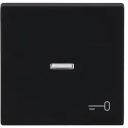 Busch-Jaeger schakelwip controlevenster symbool sleutel Future Linear zwart mat (1789 TR-885)