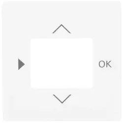 Busch-Jaeger centraalplaat voor timer en thermostaat studiowit mat (6435-884)