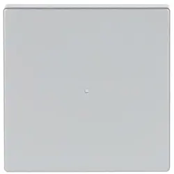 Busch-Jaeger bedieningswip 1-voudig tbv bedieningselement flex 1-voudig Future Linear aluzilver (6230-10-83)