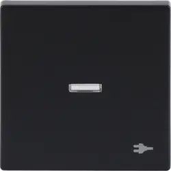 Busch-Jaeger schakelwip controlevenster symbool stekker Future Linear antraciet glans (1789 ST-81)