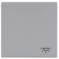 Busch-Jaeger schakelwip symbool licht Future Linear aluzilver (2520 LI-83)