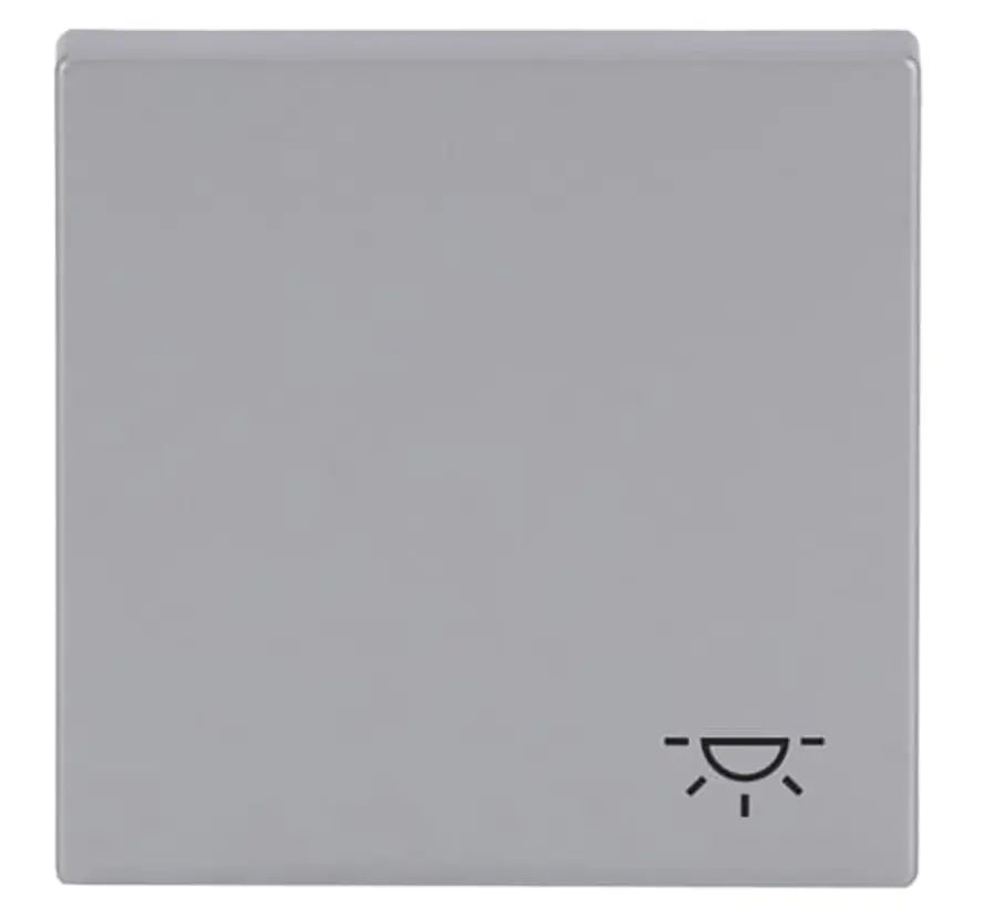 schakelwip symbool licht Future Linear aluzilver (2520 LI-83)