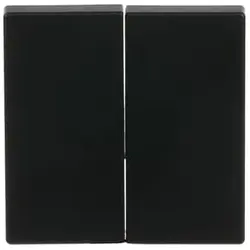 Busch-Jaeger Friends of Hue schakelwip 2-voudig Future Linear zwart mat (6736 FoH-885)