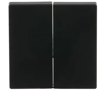 Busch-Jaeger Friends of Hue schakelwip 2-voudig Future Linear zwart mat (6736 FoH-885)