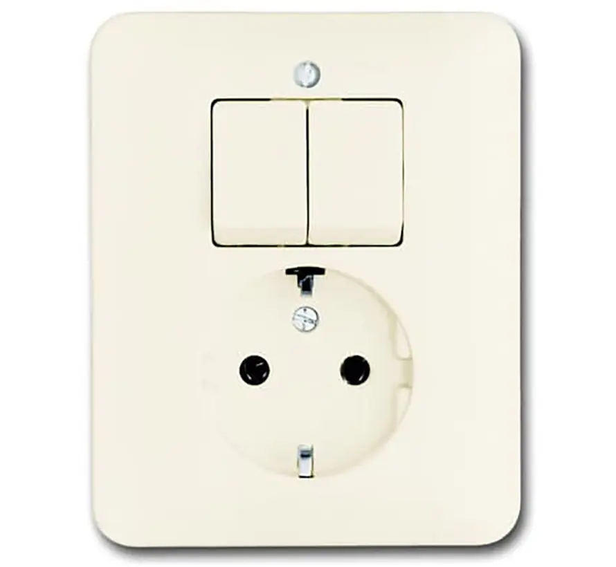 combinatie serieschakelaar/wandcontactdoos randaarde SI (4310/5 EUJ-212-503)