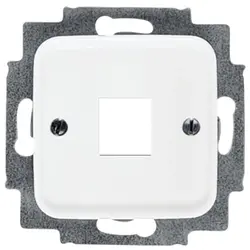 Busch-Jaeger centraalplaat + draagring 1x modular jack Reflex SI (2561-214)