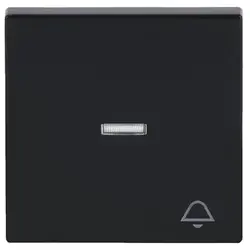 Busch-Jaeger schakelwip controlevenster symbool bel Future Linear antraciet glans (1789 KI-81)