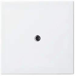 Busch-Jaeger afdekking telefoon verbindingsdoos Balance SI (2536-914)