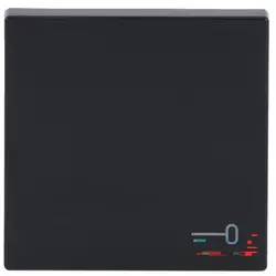 Busch-Jaeger schakelwip symbool sleutel Future Linear antraciet glans (2520 TR-81)