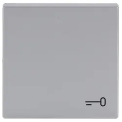 Busch-Jaeger schakelwip symbool sleutel Future Linear aluzilver (2520 TR-83)