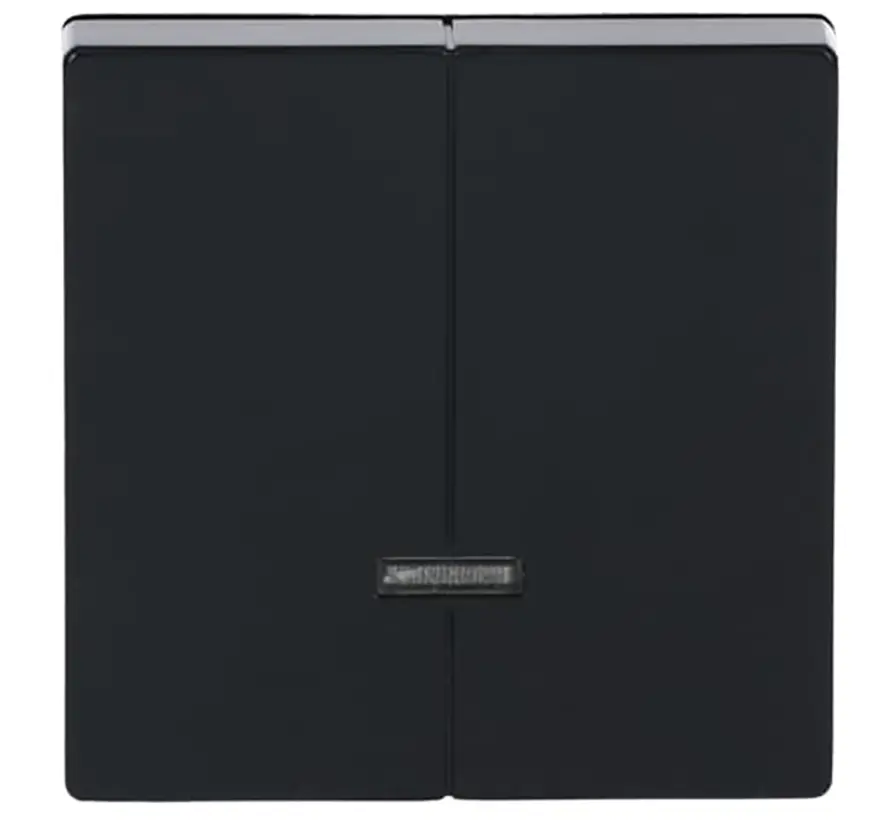 dimmerknop serietastdimmer met controlevenster Future Linear antraciet glans (6545-81)