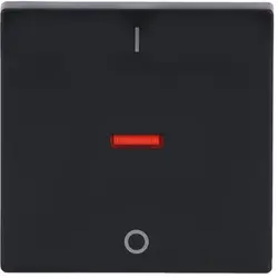 Busch-Jaeger schakelwip controlevenster rood 2-polig en 3-polig Future Linear antraciet glans (1788-81)