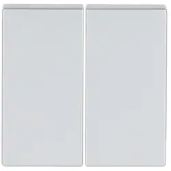 Busch-Jaeger Friends of Hue schakelwip 2-voudig Future Linear aluzilver mat (6736 FoH-83)