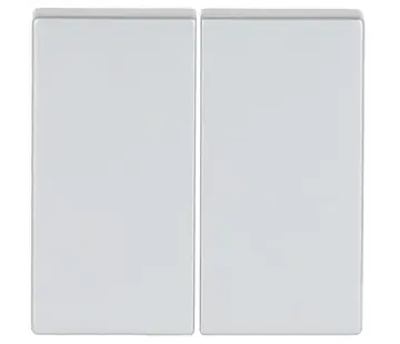 Busch-Jaeger Friends of Hue schakelwip 2-voudig Future Linear aluzilver mat (6736 FoH-83)