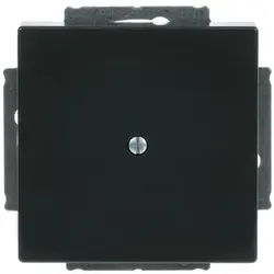 Busch-Jaeger blinddeksel incl. draagframe Future Linear antraciet glans (1742-81)