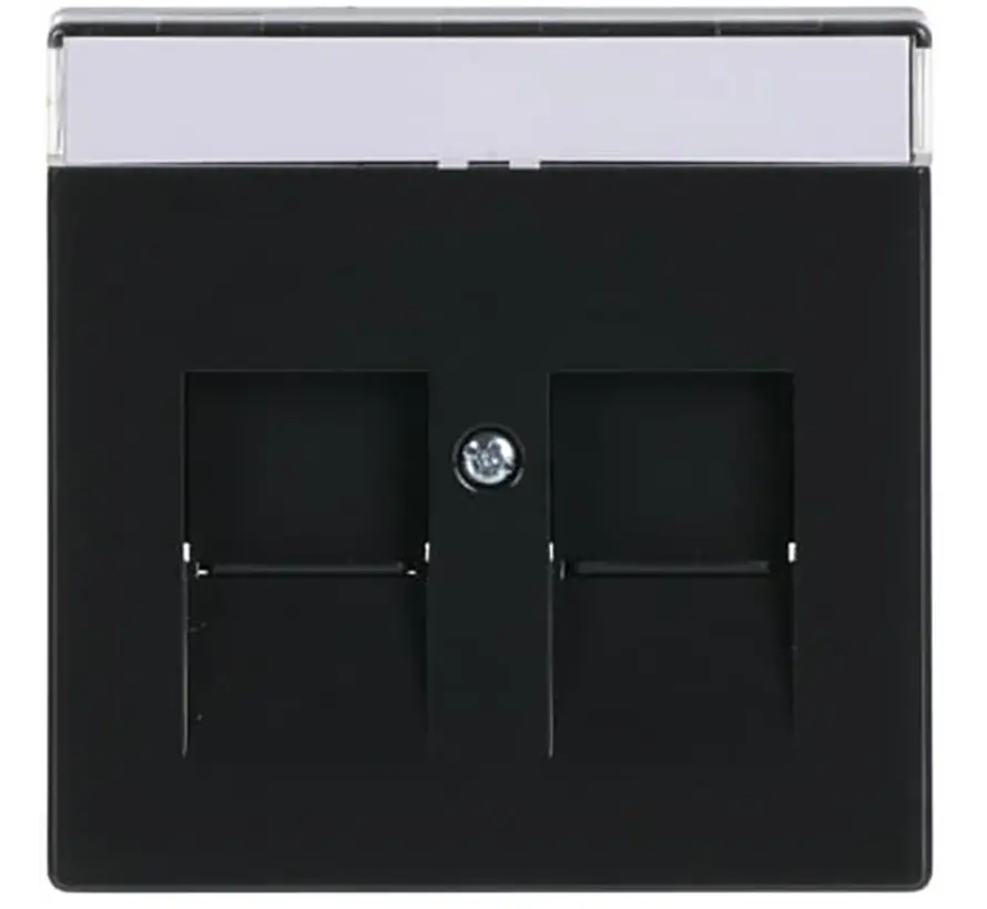 centraalplaat modular jack 2-voudig Future Linear antraciet glans (1800-81)