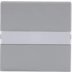 Busch-Jaeger schakelwip tekstkader met controlelicht Future Linear aluzilver (1764 NLI-83)