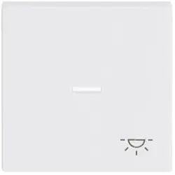 Busch-Jaeger schakelwip controlevenster symbool licht Future Linear studiowit glans (1789 LI-84)