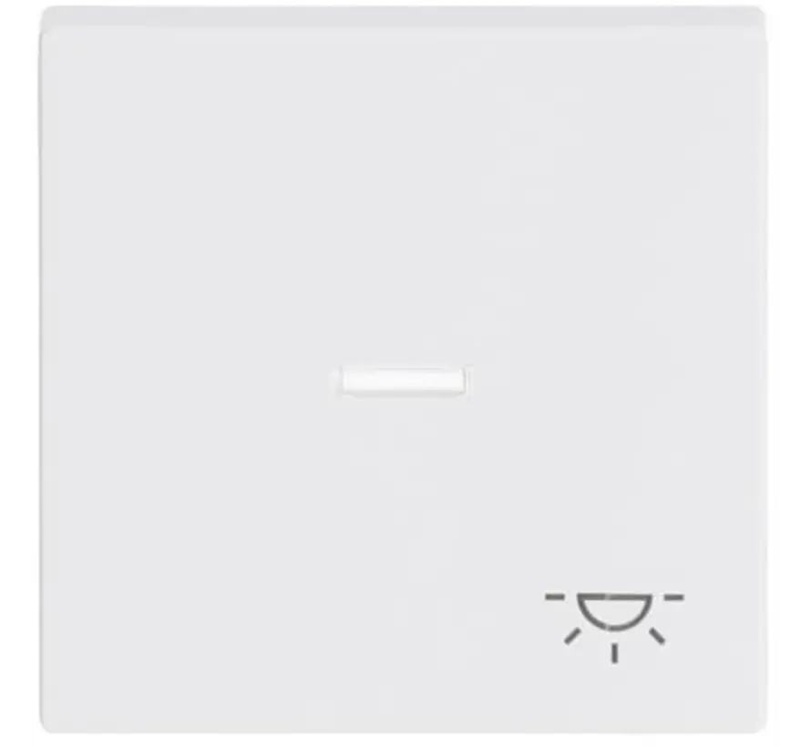 schakelwip controlevenster symbool licht Future Linear studiowit glans (1789 LI-84)