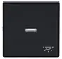schakelwip controlevenster symbool licht Future Linear antraciet glans (1789 LI-81)
