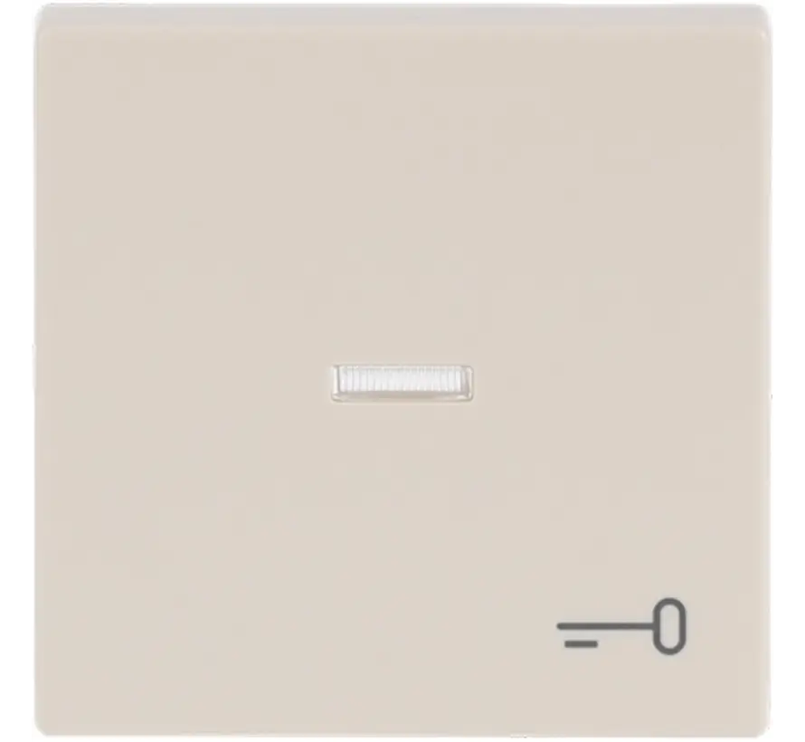 schakelwip controlevenster symbool sleutel Future Linear creme (1789 TR-82)