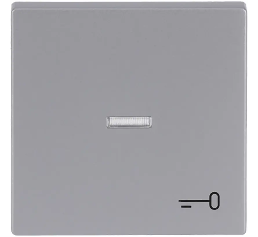 schakelwip controlevenster symbool sleutel Future Linear aluzilver (1789 TR-83)