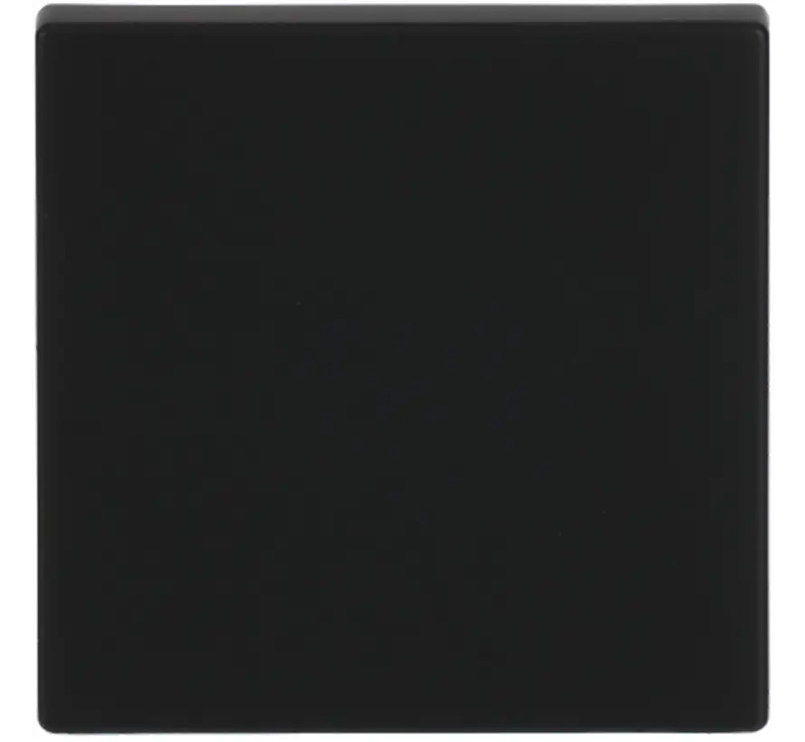 schakelwip Future Linear zwart mat (1786-885)