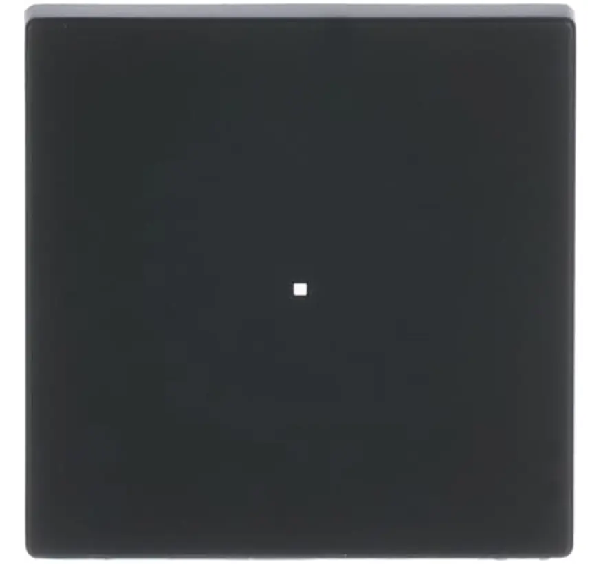 bedieningswip 1-voudig tbv bedieningselement flex 1-voudig Future Linear zwart mat (6230-10-885)