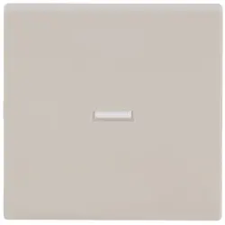 Busch-Jaeger schakelwip controlevenster klein Future Linear creme (1789 N-82)