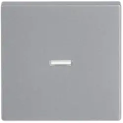 Busch-Jaeger schakelwip controlevenster transparant Future Linear aluzilver (1789 N-83)