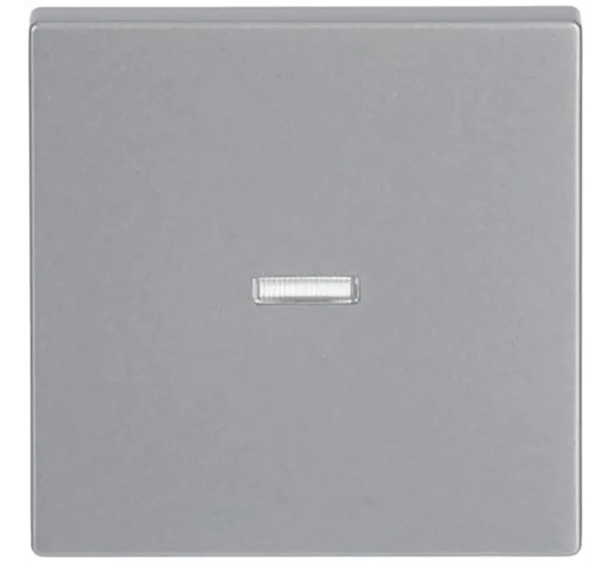 schakelwip controlevenster transparant Future Linear aluzilver (1789 N-83)