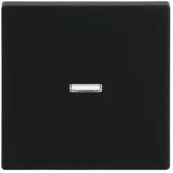 Busch-Jaeger schakelwip controlevenster Future Linear zwart mat (1789 N-885)