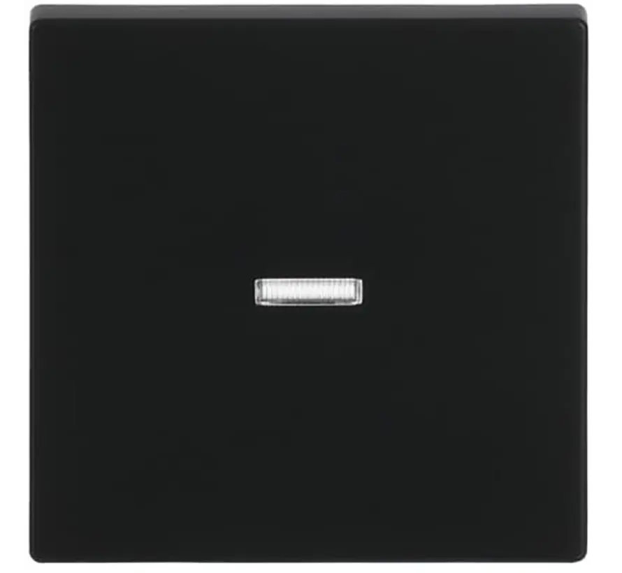 schakelwip controlevenster Future Linear zwart mat (1789 N-885)
