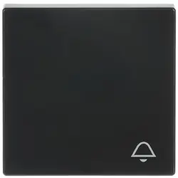 Busch-Jaeger schakelwip symbool bel Future Linear antraciet glans (2520 KI-81)