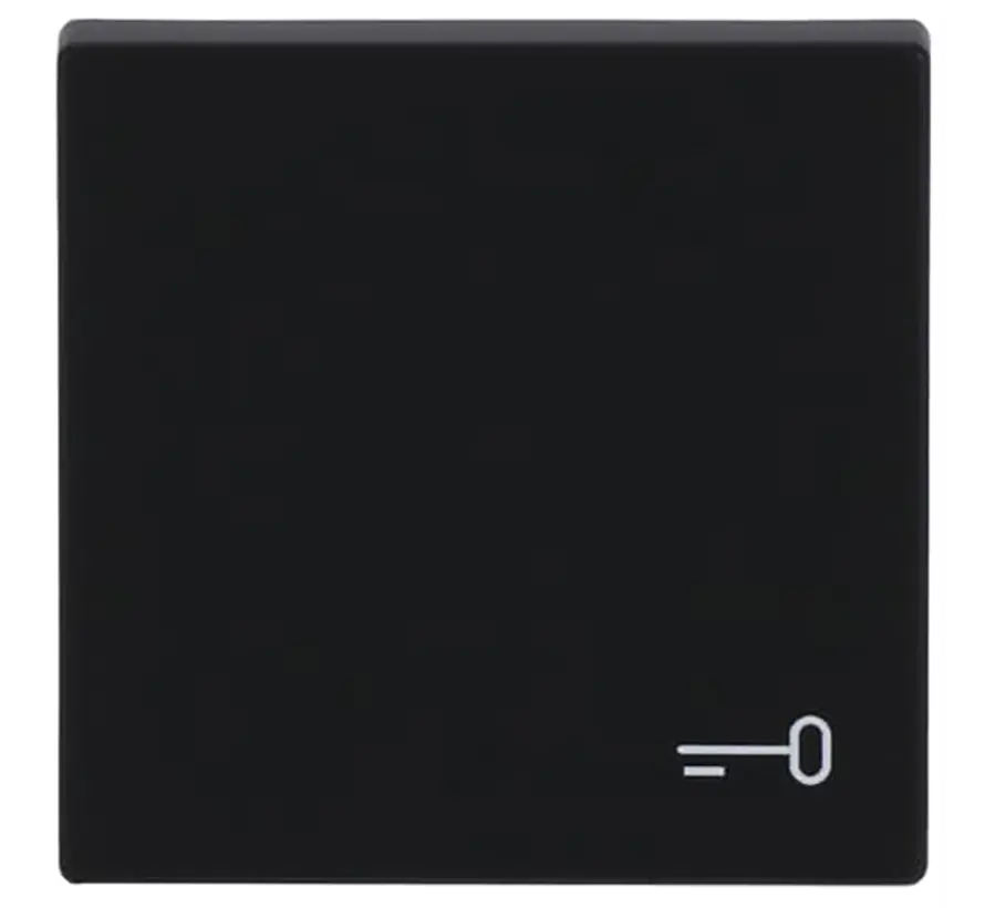 schakelwip symbool sleutel Future Linear zwart mat (2520 TR-885)