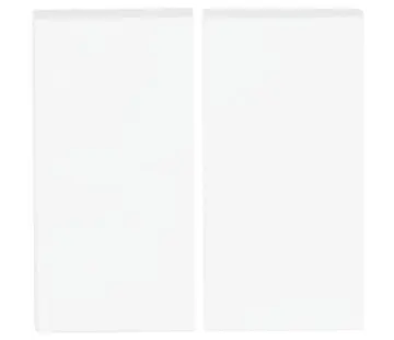 Busch-Jaeger Friends of Hue schakelwip 2-voudig Future Linear studiowit mat (6736 FoH-884)